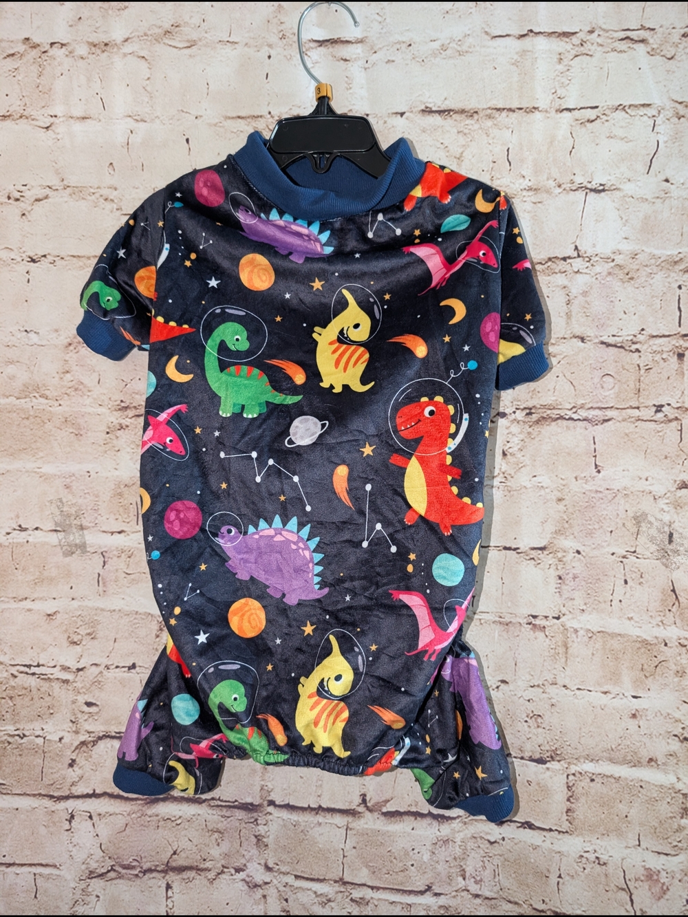 ~Dog Dinosaur Pajamas NWOT
